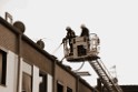 Feuer 2 Vollbrand Reihenhaus Roggendorf Berrischstr P213